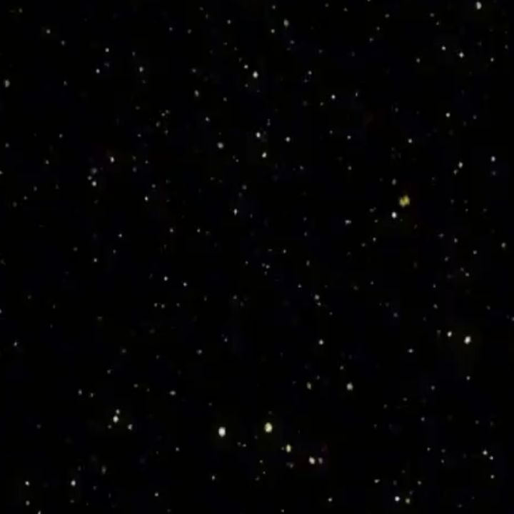 🤍🖤 ام طارق 🤍🖤 from EG on Tango Live