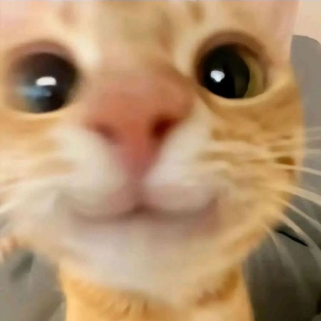 🪼LUNA 🪼 from CA on Tango Live