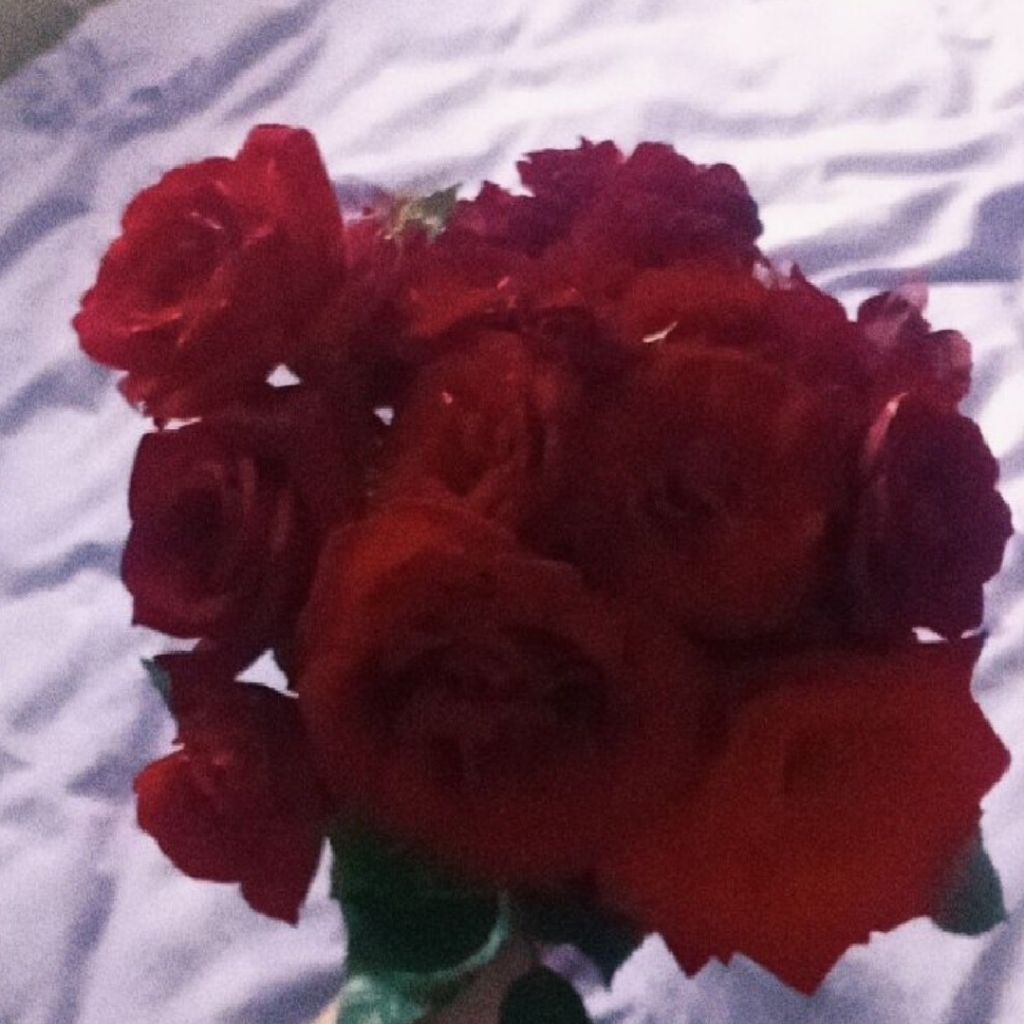 Олена from UA on Tango Live