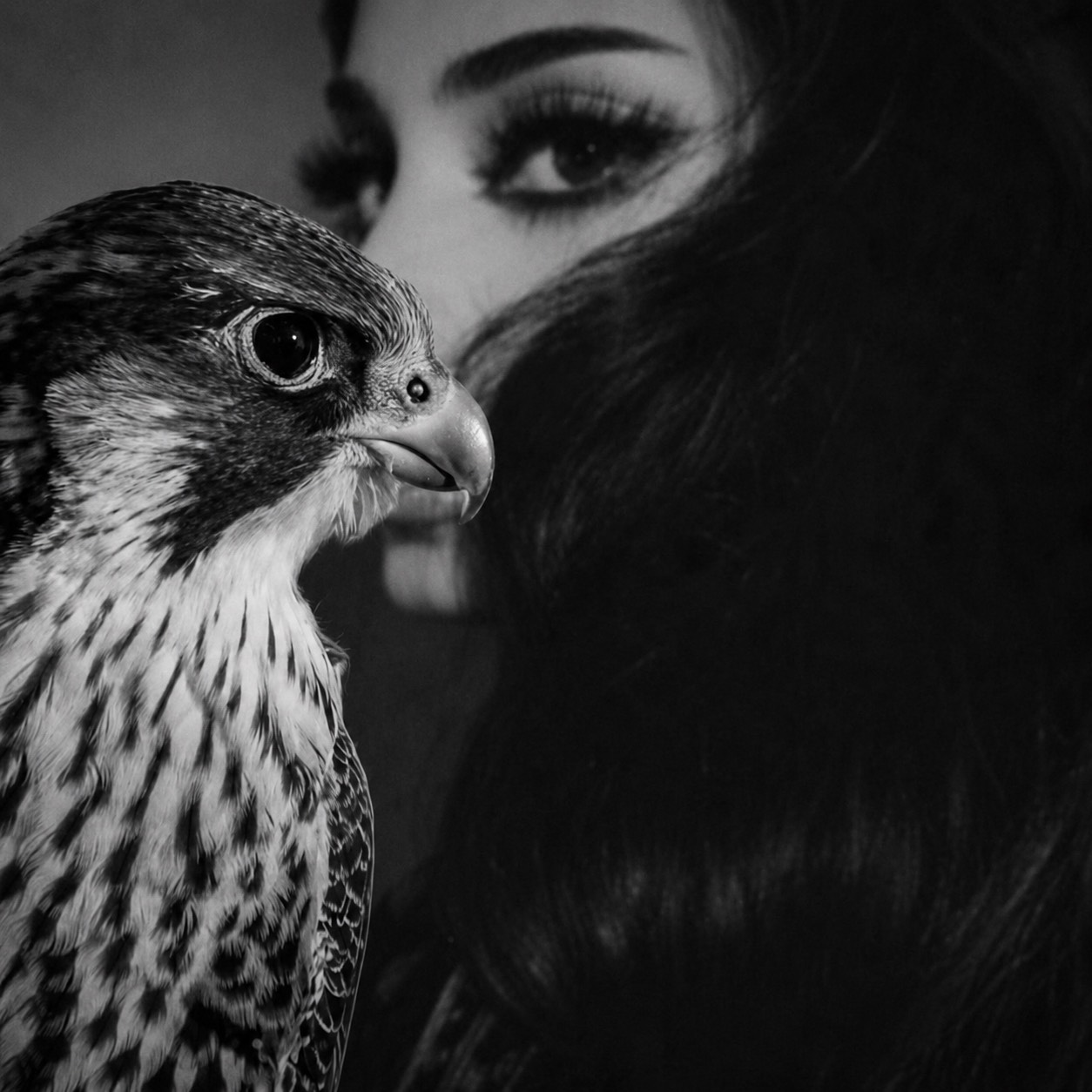 لا يزعل اللولو on Tango Live