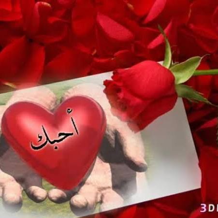 معلمه في صيد الغزلاان on Tango Live