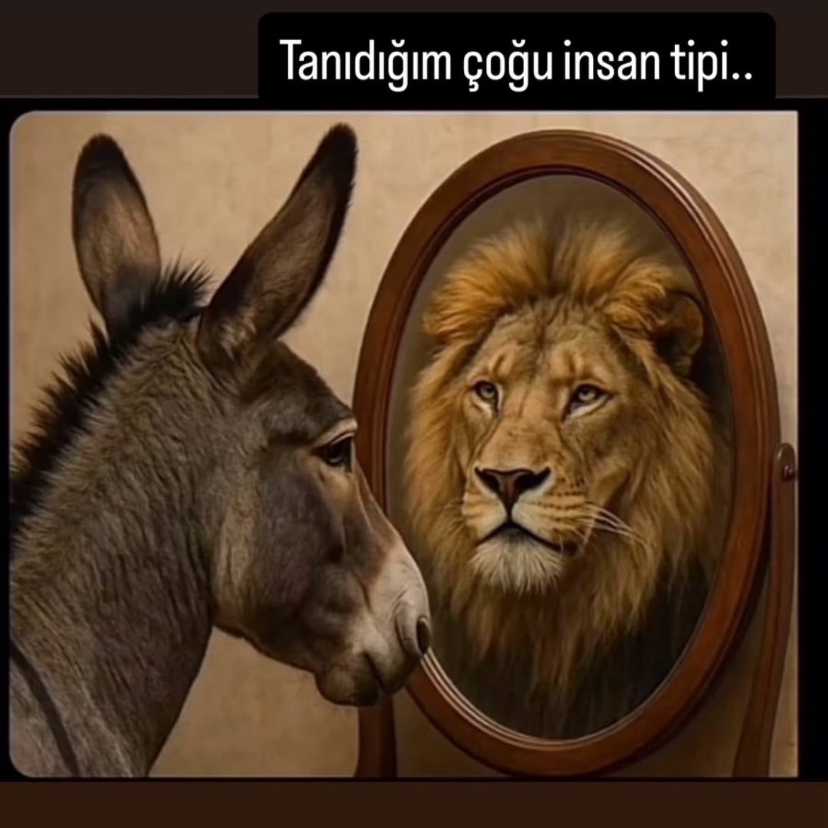 ✨✨✨ZенiЯяяя ✨✨✨20m🤲 from TR on Tango Live
