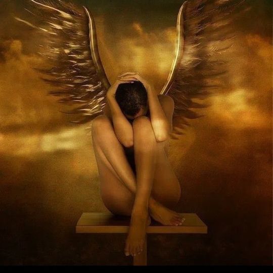 Angel from US on Tango Live