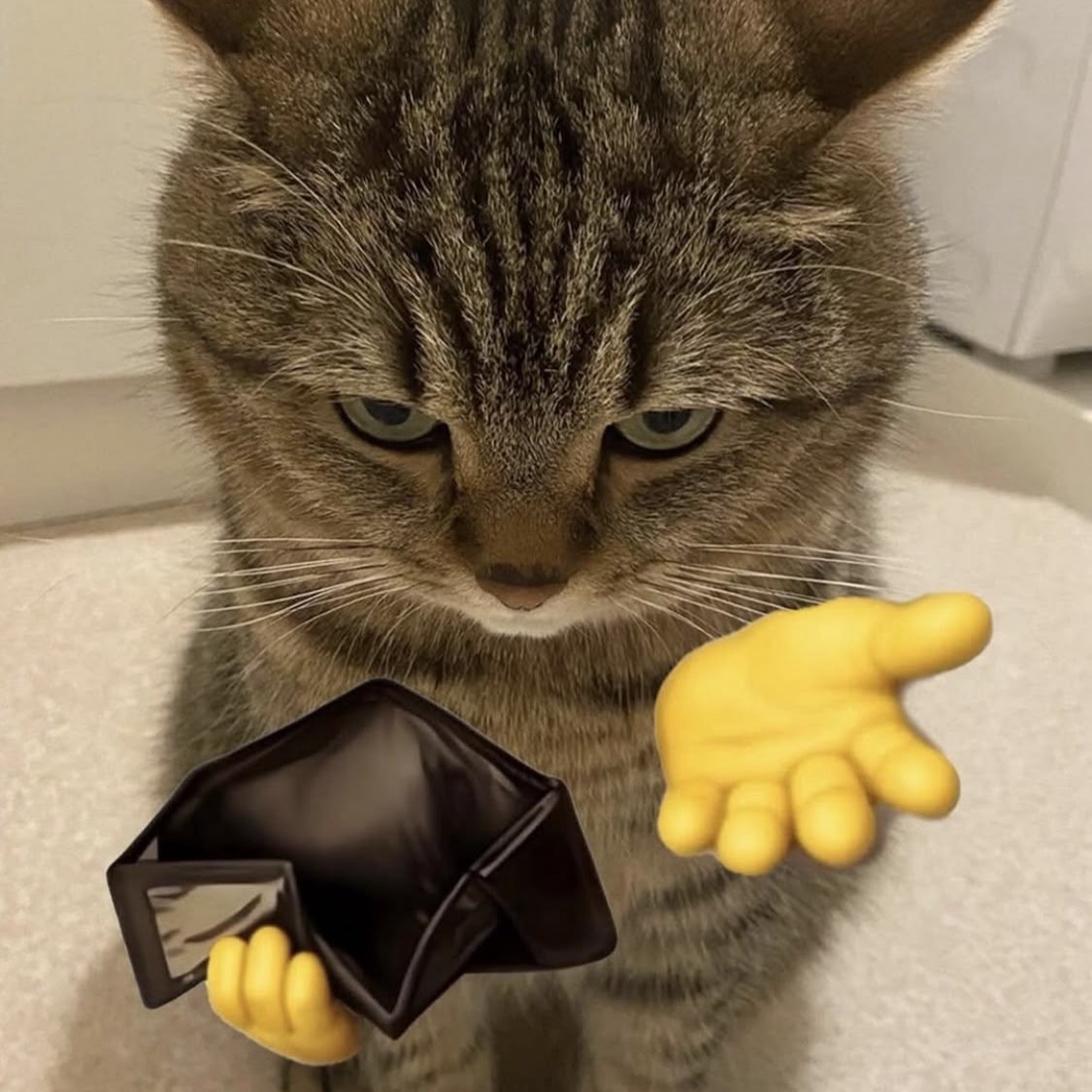 cute_kitty 🐈 from UA on Tango Live