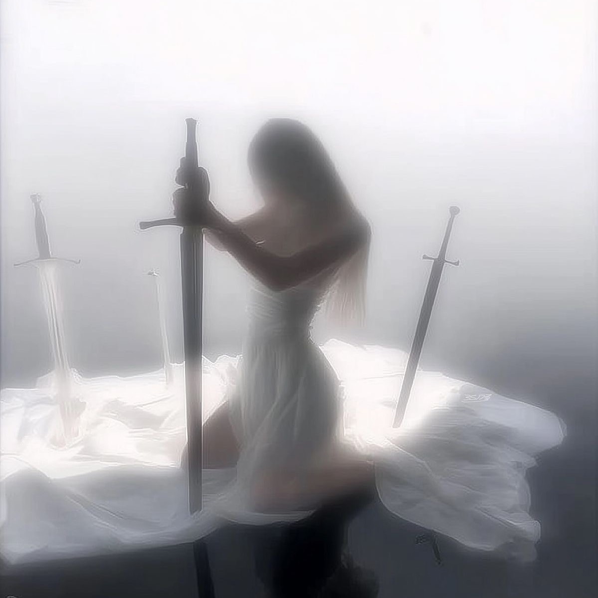 🦢 on Tango Live